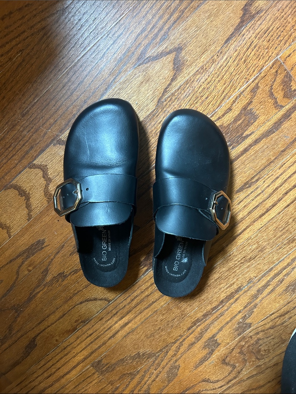 Bio Green Black Leather Clogs with Gold Buckle Detail